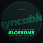 cover: Push Against New Fakes - Blossoms