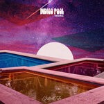 cover: Indigo Pool - Trouble