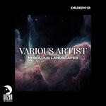 cover: Various - Nebolous Landscapes