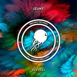 cover: Izunt - Colours (Original Mix)