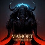 cover: Mamoet - The Process