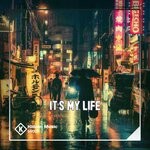 cover: Dj Ananta - It's My Life