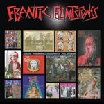 cover: Frantic Flintstones - 20th Anniversary Album