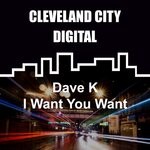 cover: Dave K (uk) - I Want You Want