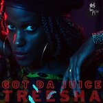 cover: K-jah Sound|Treesha - Got Da Juice