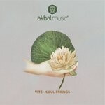 cover: Vite - Soul Strings