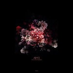 cover: Various - AM II