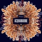 cover: Rivas - Acquamarine