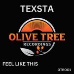 cover: Texsta - Feel Like This