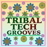 cover: Various - Tribal Tech Grooves