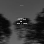 cover: E.lemental - I Met You In The Forest