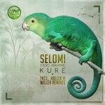 cover: Selomi|Stevo Atambire - Kure (Inclu. Hallex M Remix)