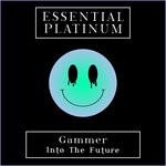 cover: Gammer - Into The Future