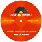 cover: Antonello Ferrari|Aldo Bergamasco - Keep On Pumpin