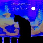 cover: Steve The Cat|Toby The Fox - Moonlight Rain (I Do Care Version)