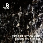 cover: Ayden Vice - Looking Into A Mirror