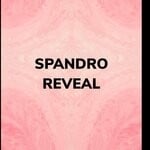 cover: Spandro - Reveal