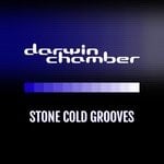 cover: Darwin Chamber - Stone Cold Grooves