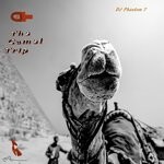 cover: Dj Phantom 7 - The Camel Trip