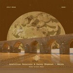 cover: Anatolian Sessions|Danny Shamoun|Qualista - Amida (Sasha Carassi Remix)