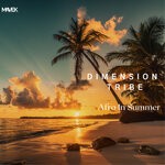 cover: Dimension Tribe - Afro In Summer