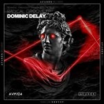 cover: Dominic Delay - Radical Groove