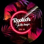 cover: Branco Simonetti|Techrasta|Viltreen|Gregory (br)|Let Hitz|Choma|Mobb - Rootech In The House Vol 1