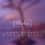 cover: Lee Burridge|Lost Desert - Somebody Up There Likes You