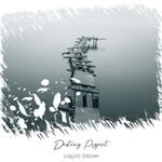 cover: Liquid Dream - Destiny Project