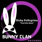 cover: Ricky Pellegrino - Feel The Beat