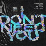 cover: Biont|Jowel Cole|Emilie Rachel - I Don't Need You (Extended Mix)