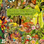 cover: Various - Deep In The Woods: Pastoral Psychedelia & Funky Folk 1968-1975