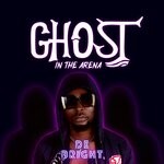 cover: De Bright - Ghost In The Arena