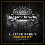 cover: Alex B|Mad Scientists - Who You Rockin' With?