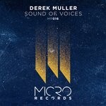 cover: Derek Muller - Sound Of Voices