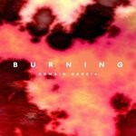 cover: Romain Garcia - Burning (Extended)