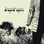 cover: Andre Salvador & The Von Kings - Draped Apes