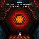 cover: Spectro Senses - Pump It Up