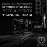 cover: Dj 3000 - Waiting In The Dark