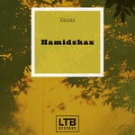 cover: Hamidshax - Voices