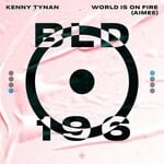 cover: Kenny Tynan - World Is On Fire (Aimee)