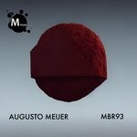 cover: Augusto Meijer - Hummingbird Synergy