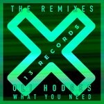 cover: Oli Hodges - What You Need (The Remixes)