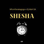 cover: Dj Wah Sa - Shesha