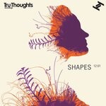 cover: Various - Shapes 12:01 (Compiled By Robert Luis) (Explicit)