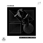 cover: Cosman - Past & Future