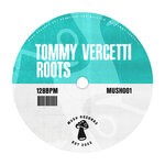 cover: Tommy Vercetti - Roots (Extended Mix)