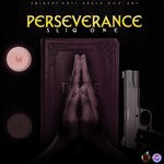 cover: Sliq One - Perseverance