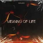 cover: Svnjack - Meaning Of Life