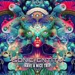 cover: Sonic Entity - Have A Nice Trip